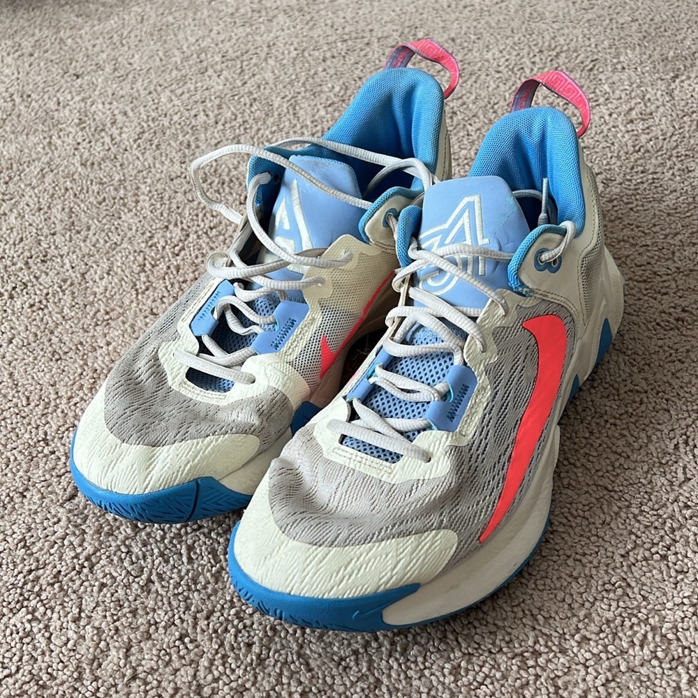 Men’s Nike Giannis Immortality
